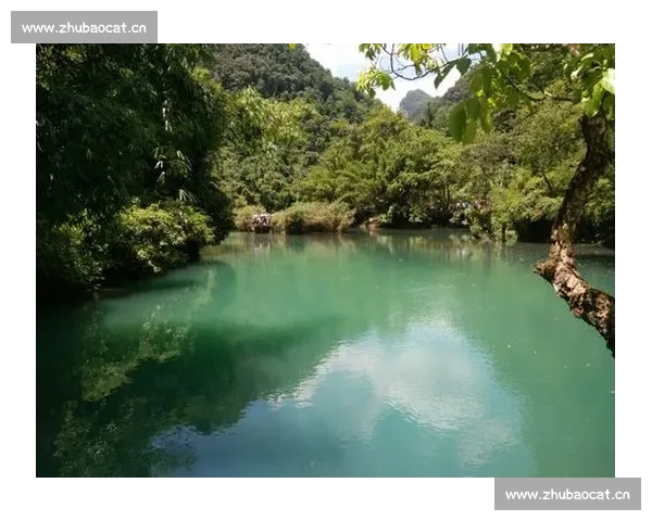 青春之声展风采青少年朗读比赛精彩瞬间全程感动记录集锦展现美好